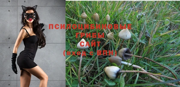 хмурый Алексин