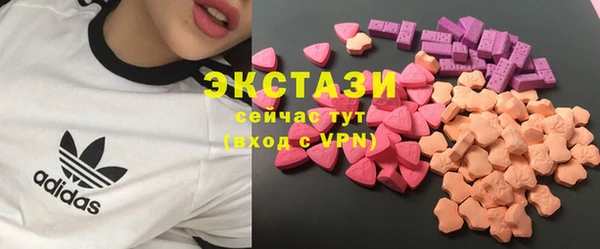 хмурый Алексин