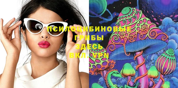 хмурый Алексин